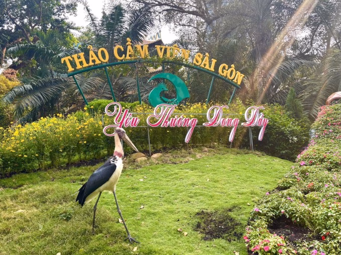 Hình ảnh chim già đẫy thong dong trong vườn thú tạo nên vẻ đẹp hoang dã và tự nhiên (Ảnh: Thảo Cầm Viên Sài Gòn)