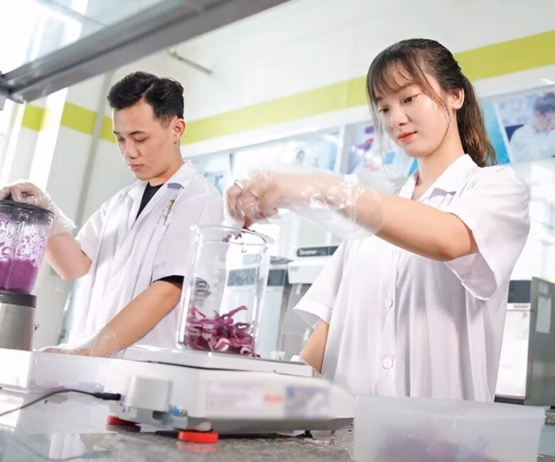 Ngành công nghệ thực phẩm tập trung vào khoa học chế biến và bảo quản an toàn.