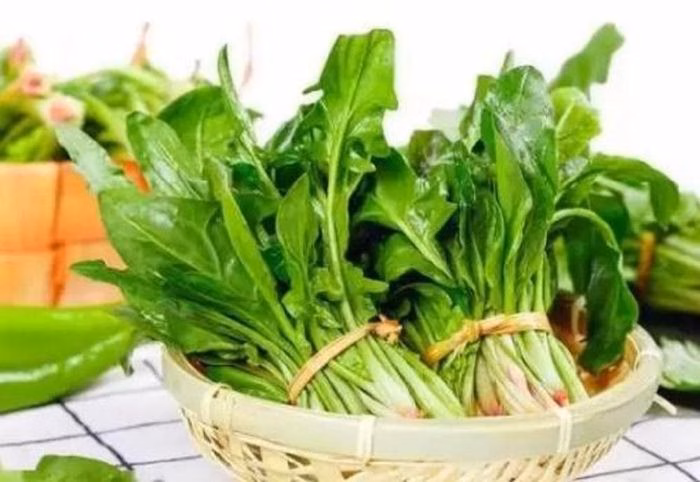 Cải bó xôi lá nhọn thường có vị chát hơn do chứa nhiều axit oxalic.