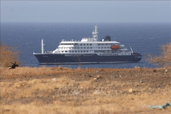 Tàu du lịch MV Hondius neo ở ngoài khơi Cape Verde ngày 4/5/2026. Sự cố y tế trên tàu đang khiến các chuyên gia truy vết nguồn gốc virus Hanta. Ảnh minh họa: THX/TTXVN